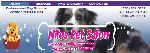Dog Grooming web site 1