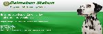 Dog Grooming web site 33