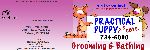 Dog Grooming web site 16